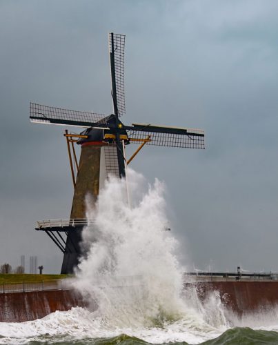 26031
